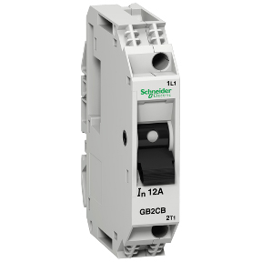 Schneider Electric Supplementary Thermal Magnetic Protector; 1-pole circuit breaker; magnetic trip threshold 12-16 ln; 8A